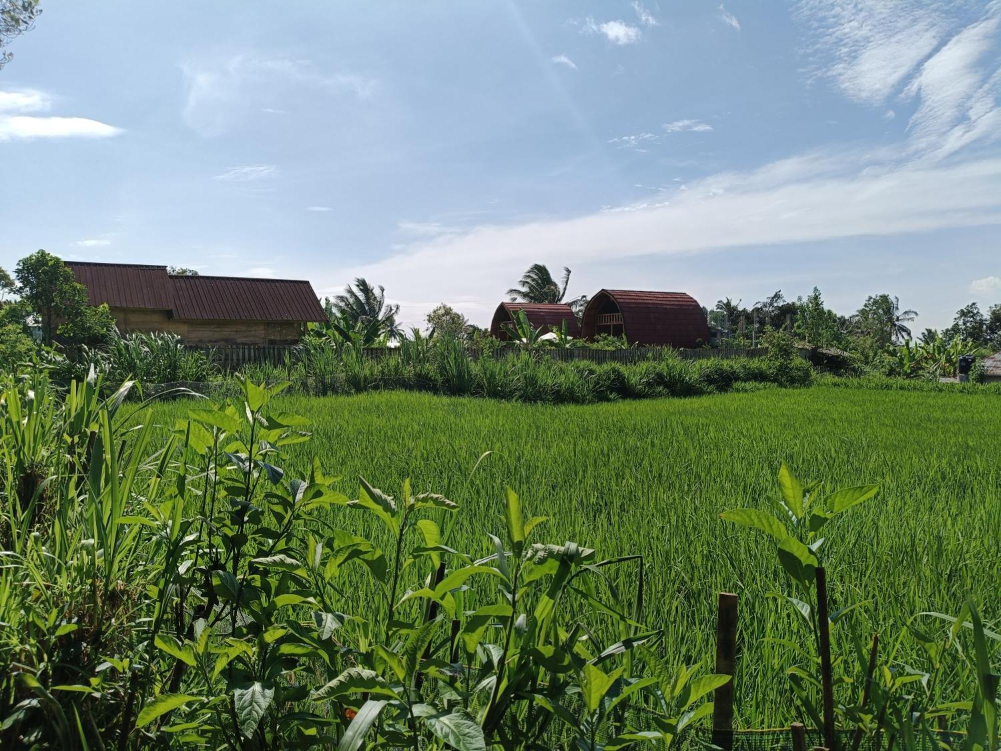 Raturinjani Homestay Selong Habitación foto